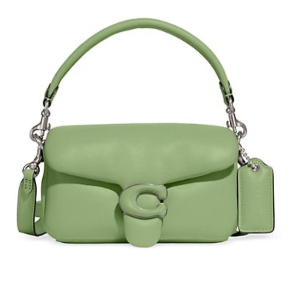 NWT Pillow Tabby 18 in Pale Pistachio